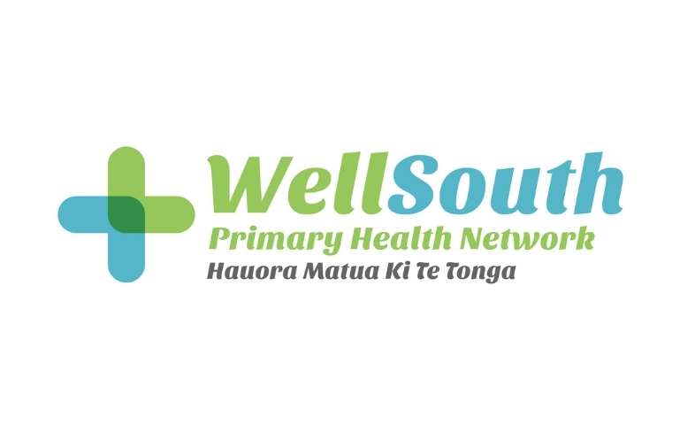 WellSouth logo