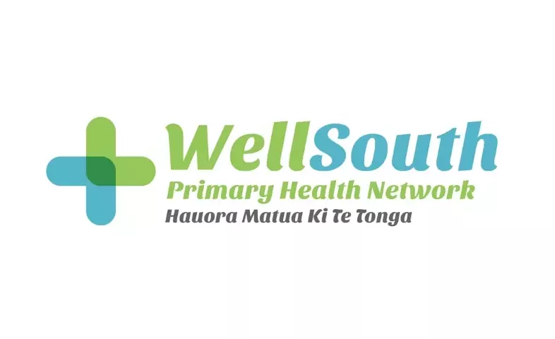 WellSouth logo